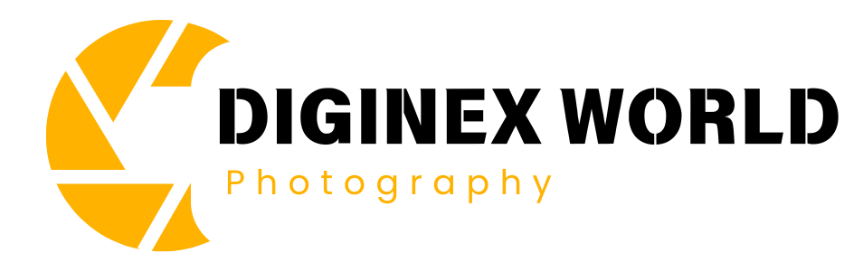 DIGINEX WORLD
